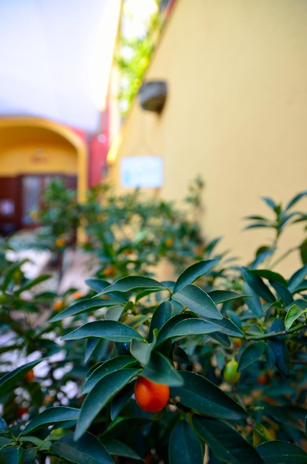Manouche Osteria B&B San Leucio Exteriér fotografie